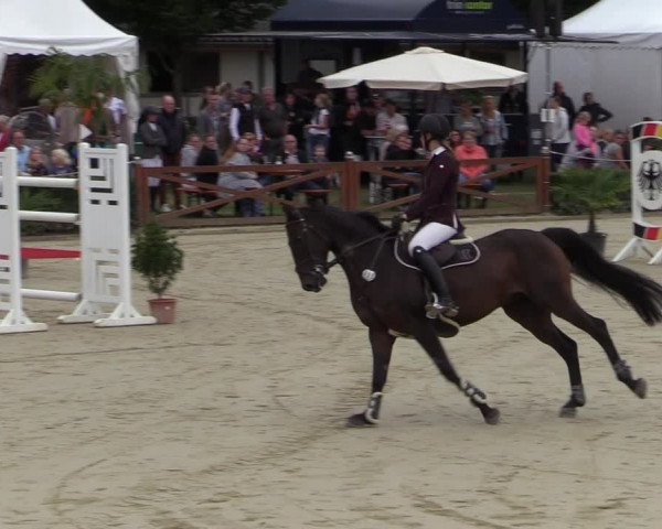 Equus Colonius - Reitanlage Brüse Köln 2021
