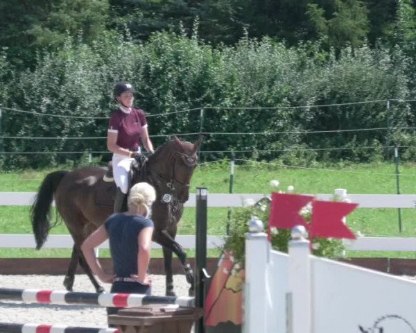Reitturnier Öpfingen 2020
