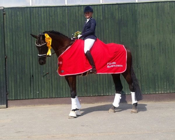 dressage horse Sandros Black Pearl (Hanoverian, 2010, from Sir Donnerhall I)