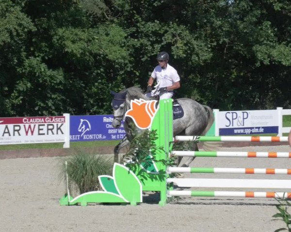 Reitturnier Öpfingen 2020