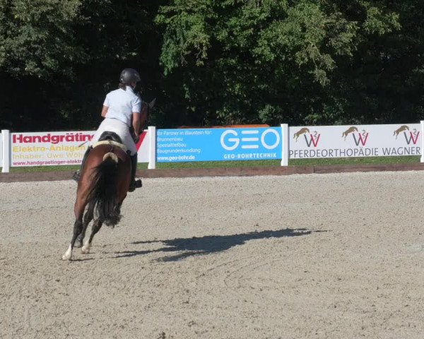 Reitturnier Öpfingen 2020