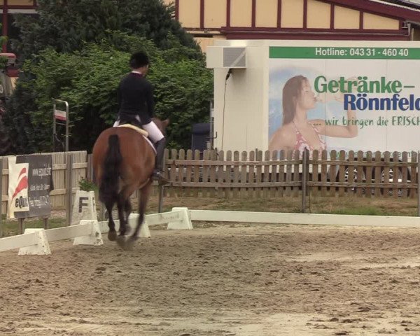 Reitturnier Schülp / Rendsburg 2020