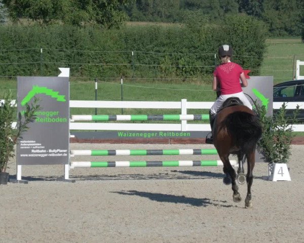 Reitturnier Öpfingen 2020