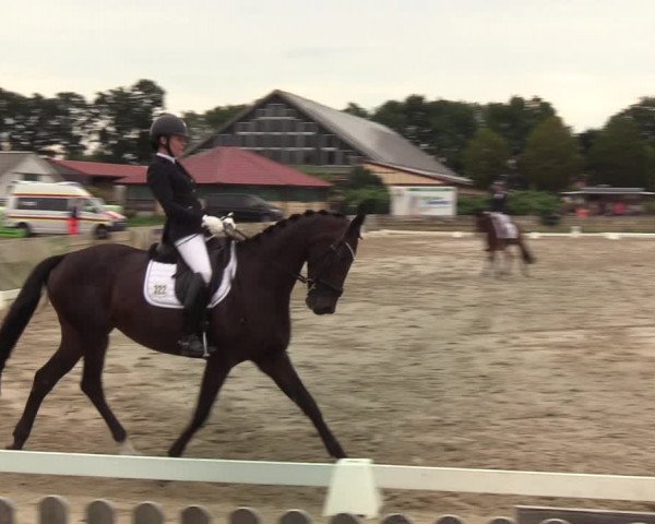 Reitturnier Schülp / Rendsburg 2020