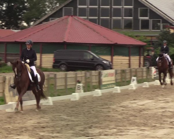 Reitturnier Schülp / Rendsburg 2020