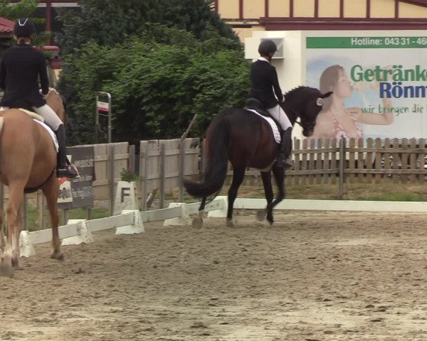 Reitturnier Schülp / Rendsburg 2020
