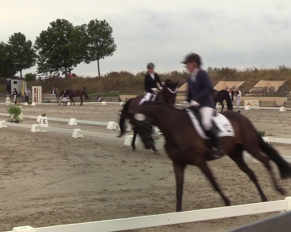 Reitturnier Schülp / Rendsburg 2020