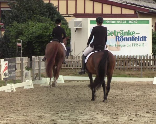 Reitturnier Schülp / Rendsburg 2020