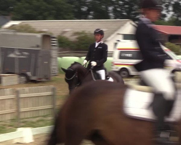 Reitturnier Schülp / Rendsburg 2020