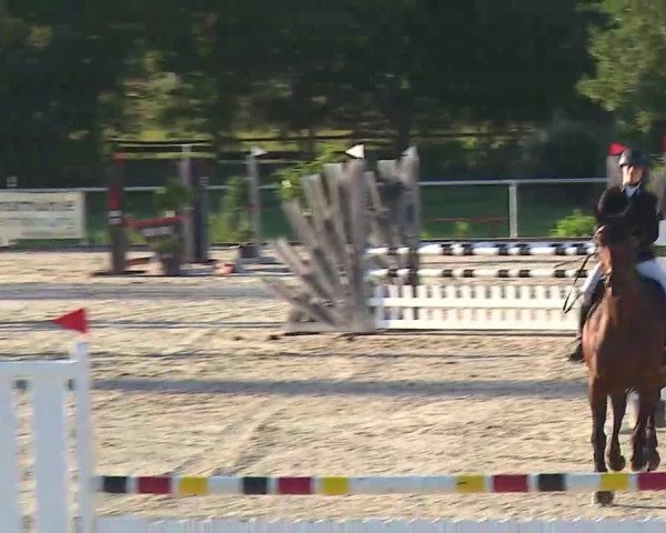 Reitturnier Ansbach/Mfr. 2020