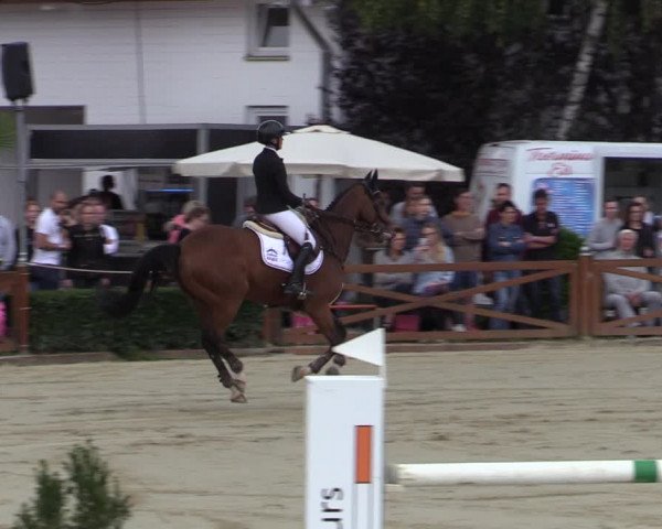 Equus Colonius - Reitanlage Brüse Köln 2021