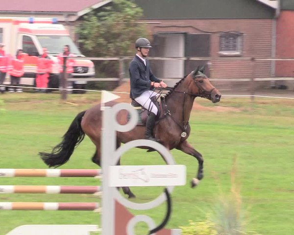 Reitturnier Hanerau-Hademarschen 2020