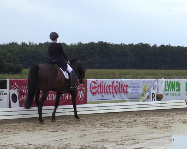 Reitturnier Ostbevern 2020