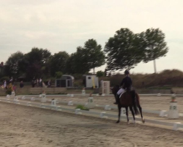 Reitturnier Schülp / Rendsburg 2020