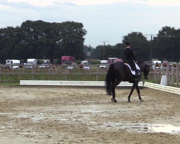 Reitturnier Ostbevern 2020
