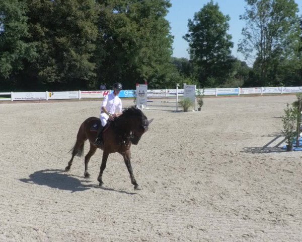 Reitturnier Öpfingen 2020