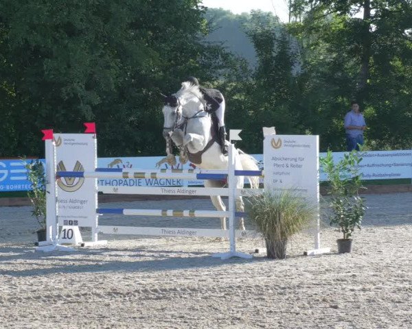 Reitturnier Öpfingen 2020