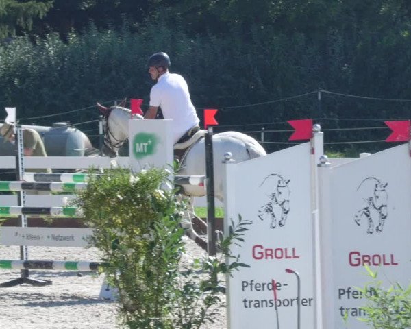 Reitturnier Öpfingen 2020