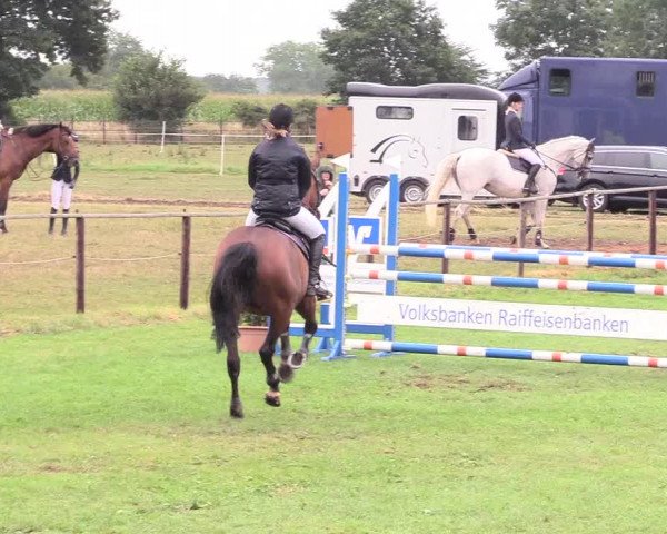 Reitturnier Hanerau-Hademarschen 2020