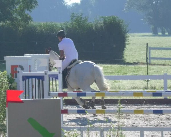 Reitturnier Öpfingen 2020