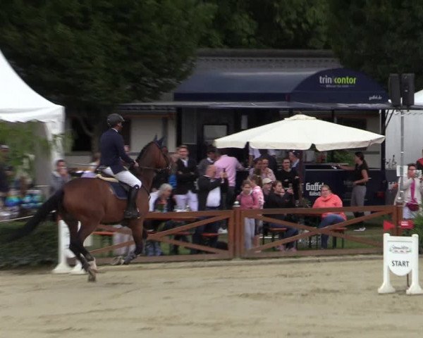 Equus Colonius - Reitanlage Brüse Köln 2021