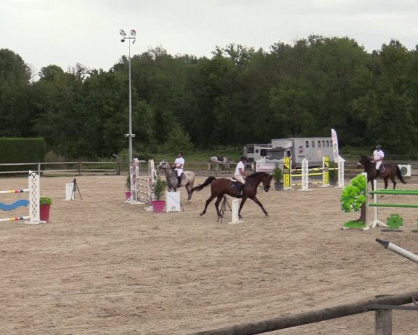 STX Cycle 2.0 Basècles 2020