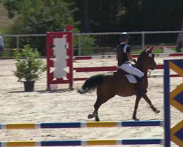 Reitturnier Ansbach/Mfr. 2020