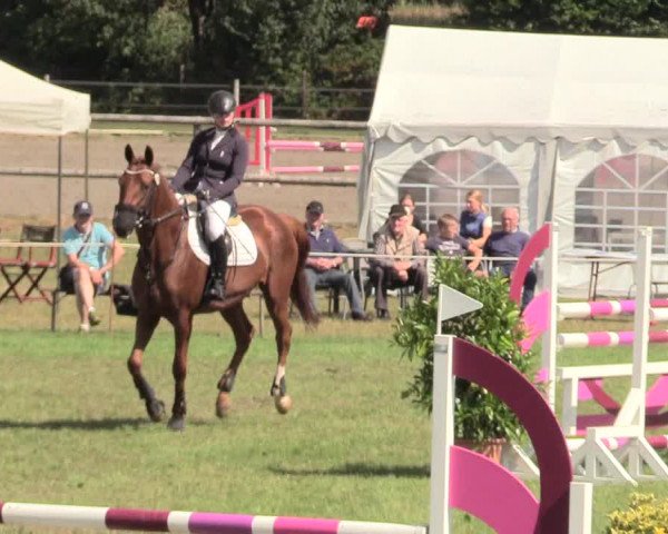 Reitturnier Hanerau-Hademarschen 2020