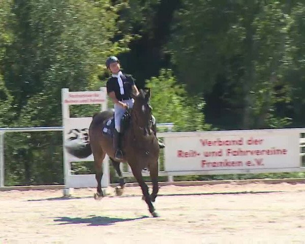 Reitturnier Ansbach/Mfr. 2020