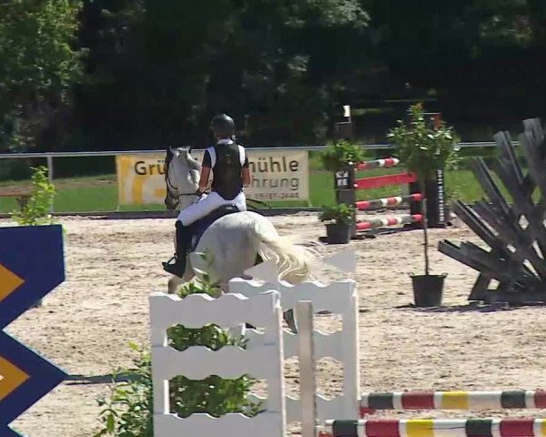 Reitturnier Ansbach/Mfr. 2020