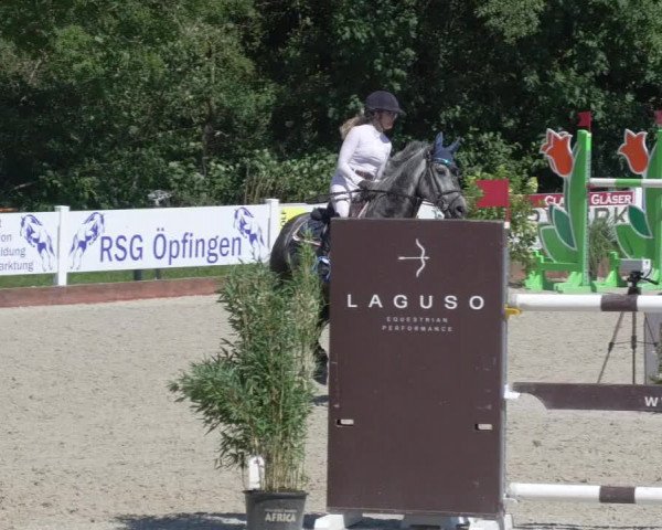 Reitturnier Öpfingen 2020