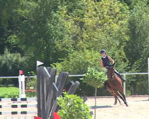 Reitturnier Ansbach/Mfr. 2020