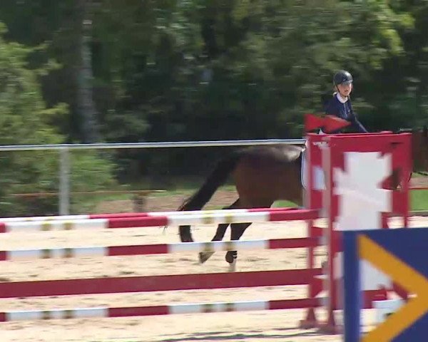 Reitturnier Ansbach/Mfr. 2020