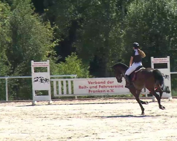 Reitturnier Ansbach/Mfr. 2020