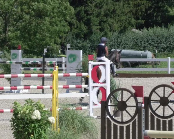 Reitturnier Öpfingen 2020