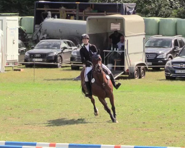 Reitturnier Hanerau-Hademarschen 2020