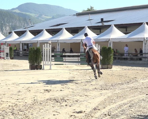 Reitturnier Balsthal 2020