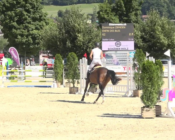 Reitturnier Balsthal 2020