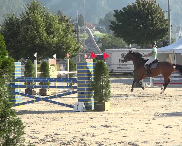 Reitturnier Balsthal 2020