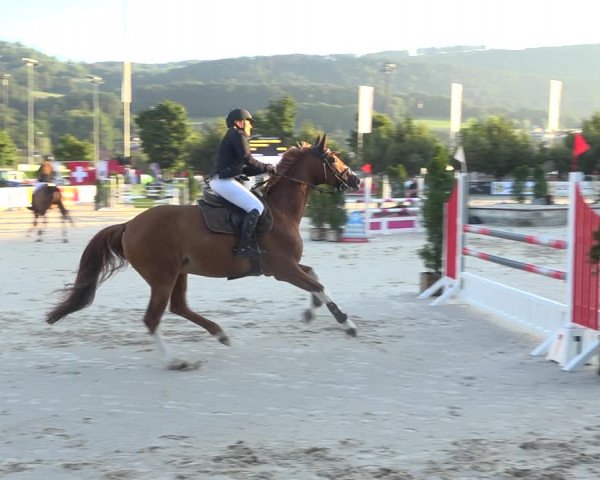 Reitturnier Balsthal 2020