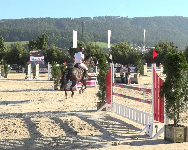 Reitturnier Balsthal 2020