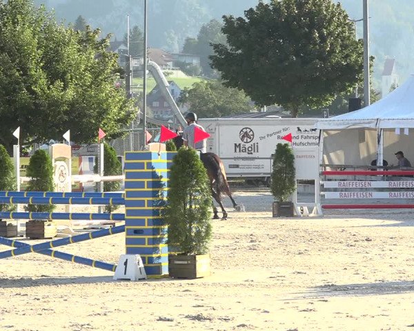 Reitturnier Balsthal 2020