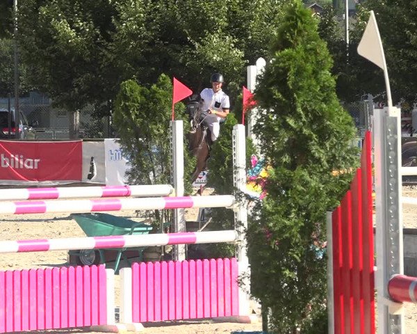 Reitturnier Balsthal 2020
