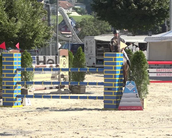Reitturnier Balsthal 2020