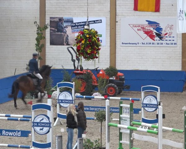 Reitturnier Sögel 2021