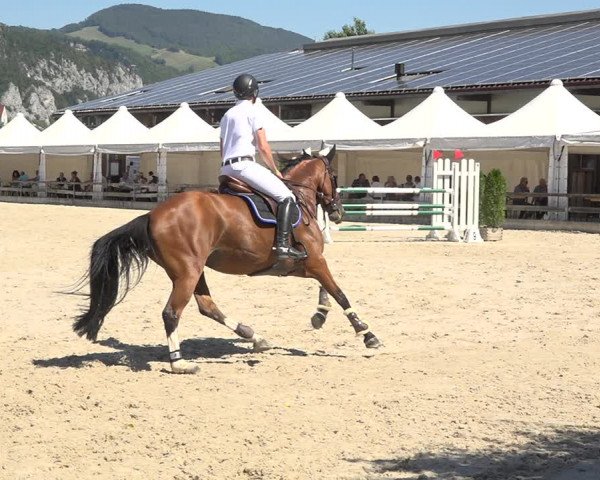 Reitturnier Balsthal 2020