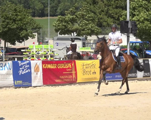 Reitturnier Balsthal 2020