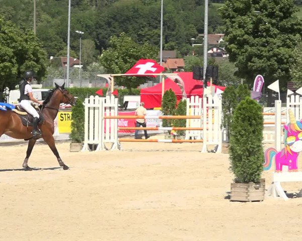 Reitturnier Balsthal 2020