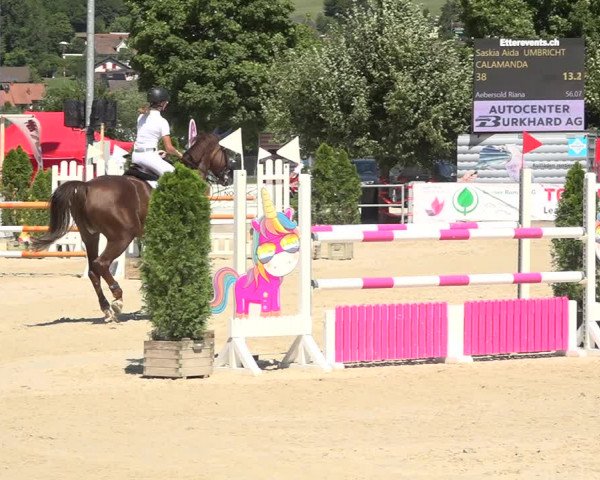Reitturnier Balsthal 2020