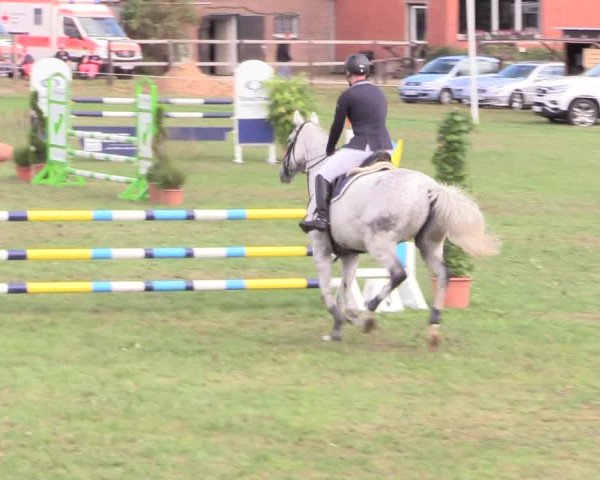 Reitturnier Hanerau-Hademarschen 2020